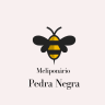 Meliponário Pedra Negra