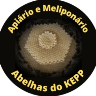 Abelhas do Kepp