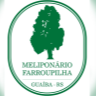 Meliponario Farroupilha