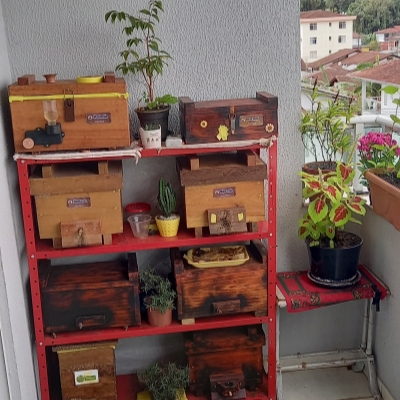 Meliponário Rech