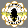 Meliponario florada