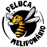 Meliponário Peluca