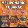 Meliponário Tubarão