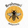 Meliponario Brahmari