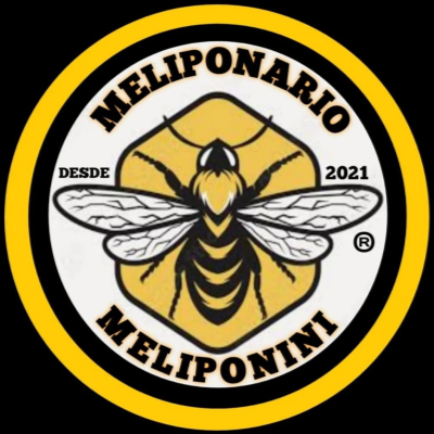 Meliponario Meliponini
