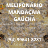 Meliponário Mandaçaia Gaúcha