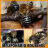 Meliponário Rouxinol