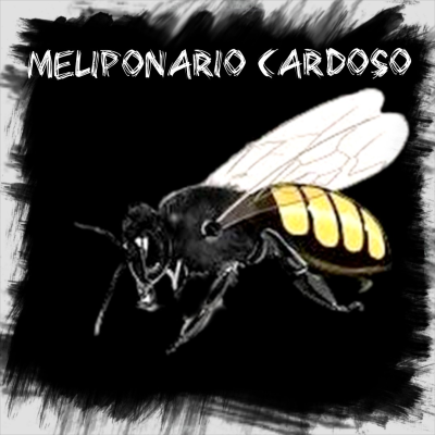 Meliponario Cardoso